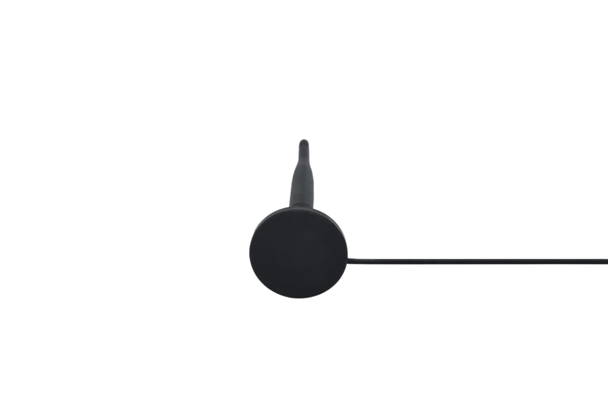 SW19032EB56 SWE002 4G/LTE External Omnidirectional IoT Antenna (2m Cable, SMA-M)